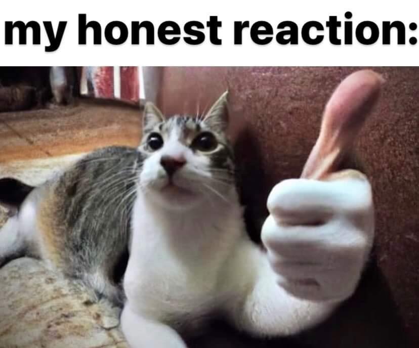 my honest reaction