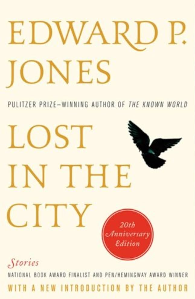 Lost in the City