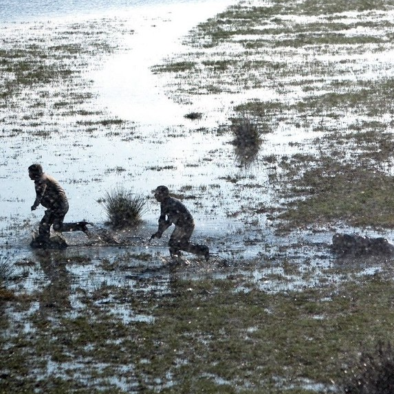 Marshland