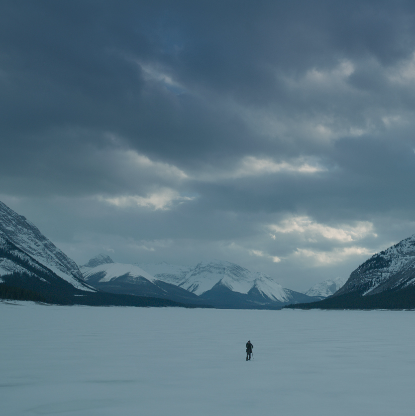 The Revenant